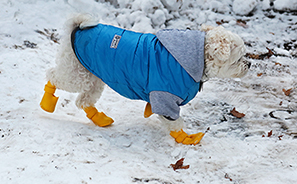 Snowstorm : 2021 : New York : Personal Photo Projects : Photos : Richard Moore : Photographer